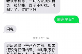 陇南如何避免债务纠纷？专业追讨公司教您应对之策